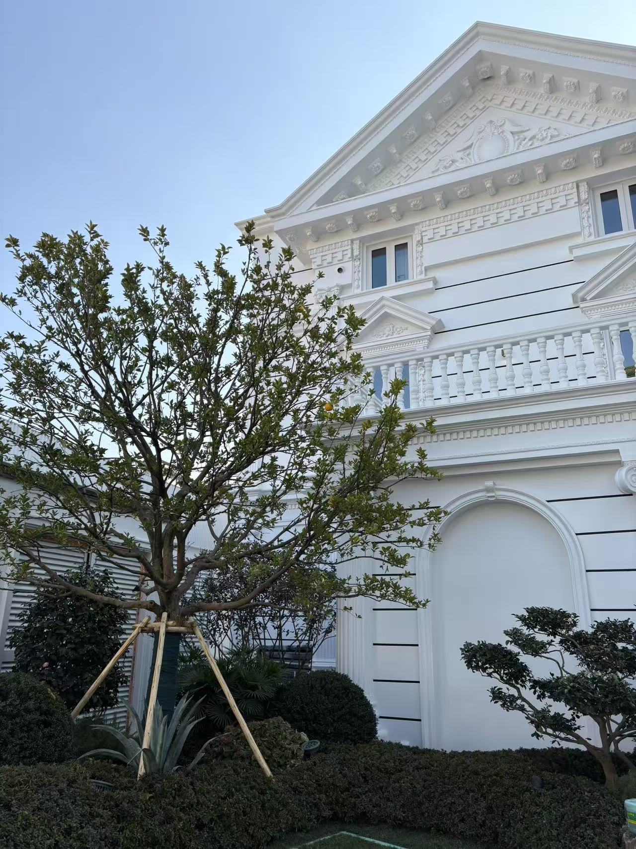 上海虹许路欧式别墅纱窗项目落地-韦柏网业